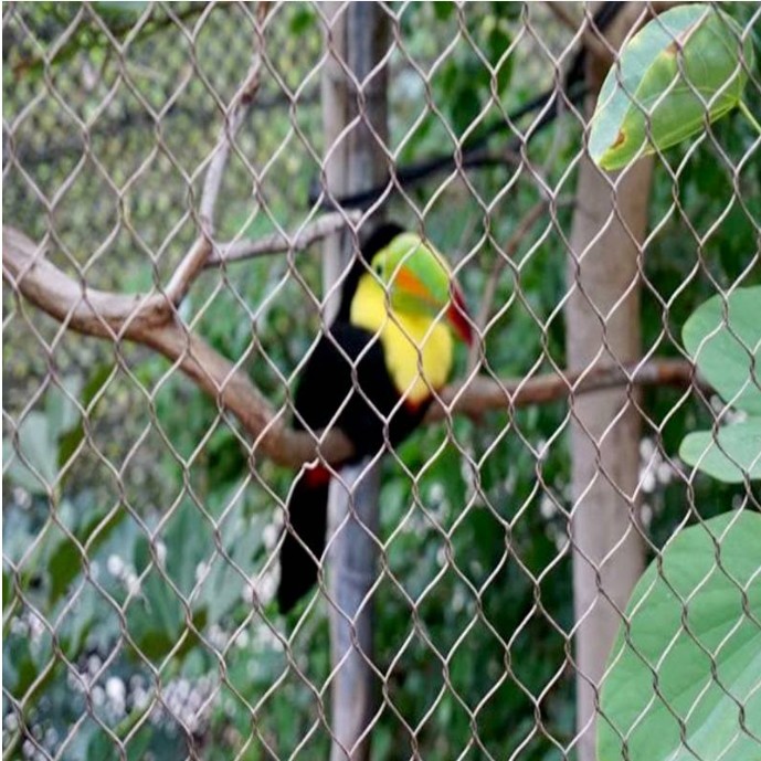 70% Opening Area Zoo Ferrule Wire Rope Mesh For Corrosion Resistant Applications