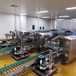 Sweet And Sour Pork Ribs Bag Production Line Prepared Dish Equipment