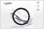 High Pressure Slurry Pump Parts Black Sealing Ring D122 For Acidic Slurry