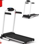 Motorized Treadmill