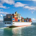 Professional LCL FCL international sea freight forwarder Service From China To