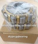 500752307 Eccentric Bearing 500752307K Brass Cage Cylindrical Roller Bearing for