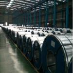 Metal Galvanized Iron Coil Jis G3302 Sgcc Spcc
