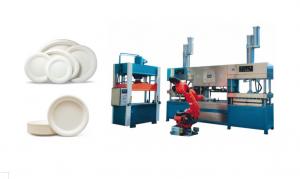 China Wheat Straw Pulp Tableware Production Line With Multi - Joints Robot And Stacking Machine on sale