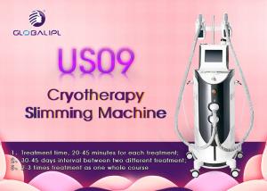 China Multi Function Cryolipolysis Machine For Body Thinner And Skin Tightening factory