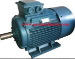 Induction Motor Ye3 Super High Efficiency Electric Motor construction Tools