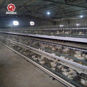 China One Day Old Baby Chick Cage With Full Automatic System factory