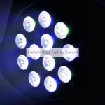 ColorFlat 12 10W RGBW LED Par Fixture