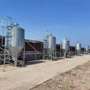 China Animal Husbandry Agricultural Feed Bins Galvanized Grain Storage Silo factory