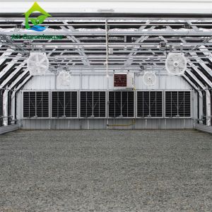 Agriculture Light Dep Greenhouse Polytunnel Blackout Shade System Fully