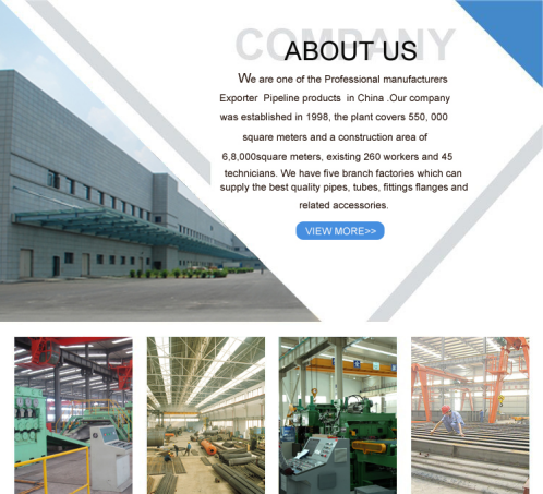 ASME B16.5 Rating 150LB 300LB 600LB A105 Carbon Steel Plate Flange