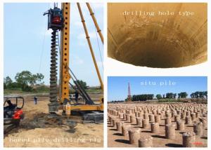 China Step Walking Screw Pile Equipment Max Depth 20m Diameter 600mm OEM Service factory