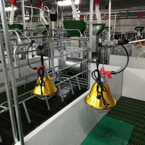 China OEM ODM 304 Stainless Steel Farrowing Crates Swine Gestation Crates factory