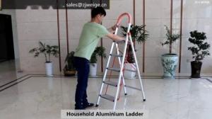 China Collapsible 5 Step 1.65m Stainless Steel Ladder factory