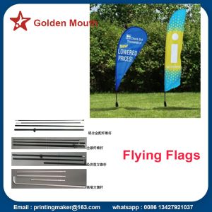 China Promotion Feather Flags Custom With Kits on sale