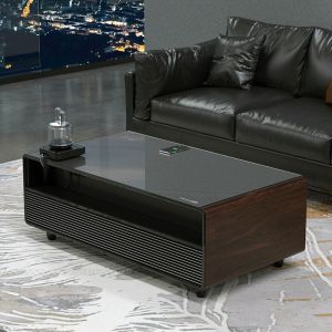 Compact 220V Primst Small Refrigerator Mini Bar Fridge Thermoelectric Retro