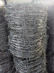 China Factory price ! Galvanized/PVC coated razor barbed wire manufacturer (20 years factory) factory