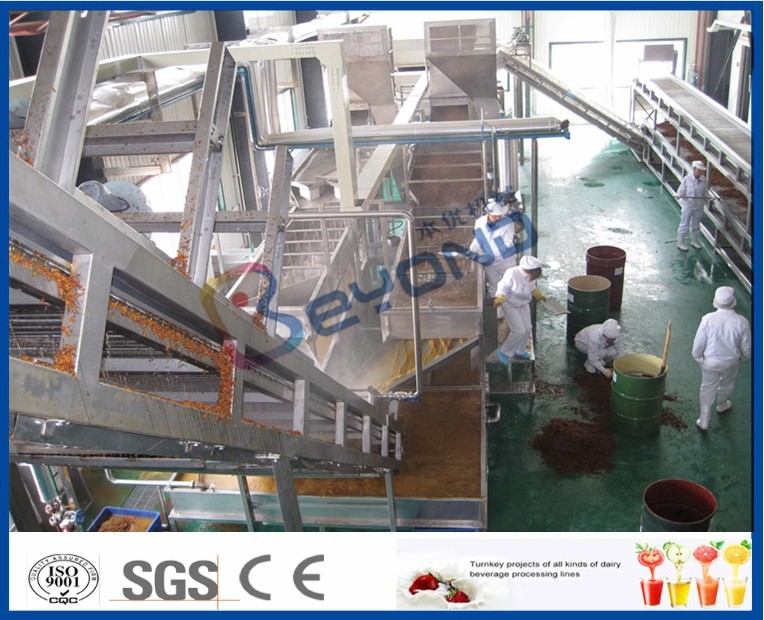 Fruit Juice Production Fruit And Vegetable Processing Device With SUS304 / SUS316 Steel