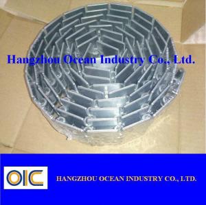 China Stainless Steel Straight Run Flat-Top Chain, type LF820-K450 LF820-K500 LF820-K600 factory