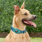 Fashion Custom Adjustable Luxury Pet Collar Reflective Dog Collar For Apple