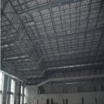 S355JR Metal Warehouse Roof Truss 50mm 0.8mm For Coal Storage Shed