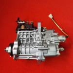R232XS65 DELPHI Diesel Fuel Injection Pump High Pressure Direct Injection 729974