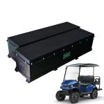 OEM ODM LiFePO4 lithium battery pack golf cart batteries 48v 100ah 200ah car