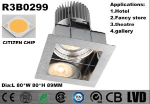 China Stainless Steel LED Spot Downlights 3 Years Guarantee COB LED Down Lights factory