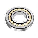 Radial Cylindrical Roller Bearings N216 N218 N220 N200 Series N205 N220