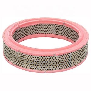 China OE NO. 82345728 Car Engine Auto Air Filter Air Cleaner 4313207 82345730 4122203 C2443 C2436 Automotive Filtro De Aire factory