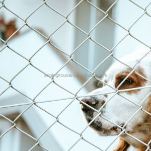 0.8-2.4m Height Galvanized Farm Fence Wire Mesh Perfect for Livestock Cattle