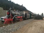 72 Seats Round Trip Train Rides Ride On Trains For Adults 2300kg Weight