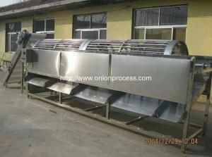 China Automatic Onion Water Washing and Grader Line factory