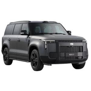 China Hybrid Fuel Jishi 01 2023 Versatile 7 Seater Version Energy Vehicles Medium Large SUV Max Speed 200Km/h 2023 REEV Car factory