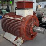 20RPM 100RPM Low rpm 200KW 500KW generators to be used water river PMG inverter