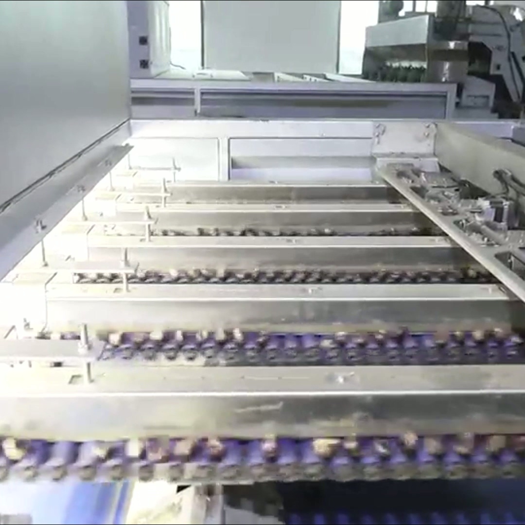 China AI powered Durable 304 Stainless Steel Chestnut Sorting Solution with 8 lanes + 8 outlets: Delivering High Accuracy and Labor Savings for Consistent factory