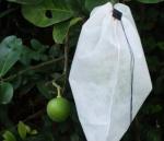 Durable Fruit Plant Protection Bag Nonwoven Biodegradable Fabric