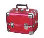 Professional aluminum makeup beauty case