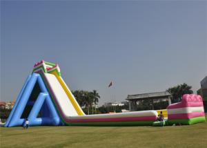 China Customized Inflatable Giant Slide Recreational Hippo Animal Theme Design With Blower factory