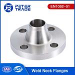 EN1092-01 Weld Neck Raised Face WNRF Flange PN 63 4 Inch Carbon Steel Weld Neck
