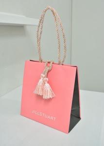 China Biodegradable FSC Gift Kraft Paper Bag factory