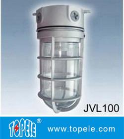 China 100W 220V Brozen, Gray IP65 Die-Cast Aluminum Vapor Proof Lights, Led Flood Lights factory