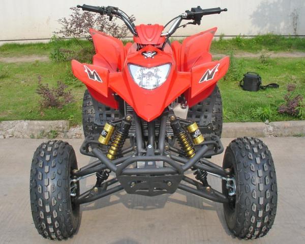 Red 250CC Utility Vehicles ATV 8" Tire Luxury Air Shock Front Drum Brake Rear