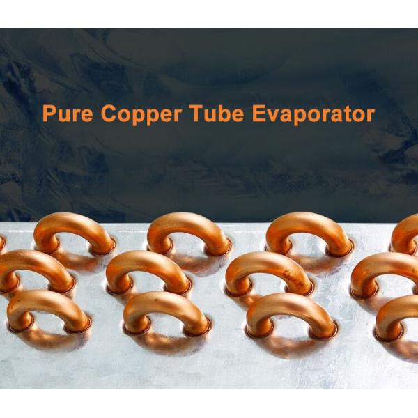 Large Capacity Food Cabinet Deli Display Freezer Refrigerator Size Color Customized