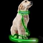 LED Dog USB Rechargeable Collars And Leashes Pet Product Waterproof Flashing