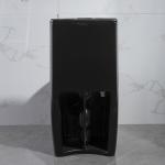 Matte Black One Piece Dual Flush Comfort Height Toilet Top Flush Button