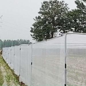 China 4m Wide Tear Resistant HDPE Black Insect Net with 50 Mesh factory