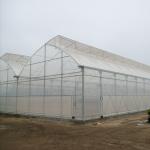 150-200micro Plastic Film Greenhouse Four Seasons With Whole System Flowers
