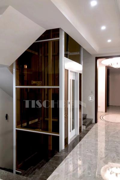 304 Stainless Steel Cabin Silent Running Home Elevator 320kg 400kg 450kg