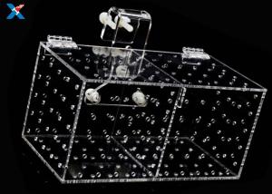 China XH-AF Acrylic Modern Furniture Acrylic Isolation Box For Aquarium Plexiglass Tropical factory